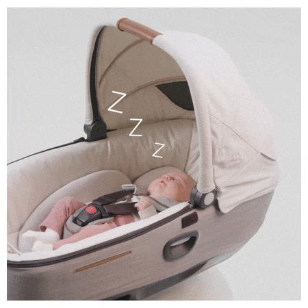 Joie Signature calmi R129™ Qyster Joie Signature calmi R129™ Qyster