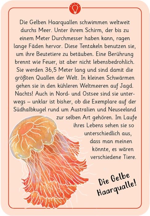 moses Expedition Natur Kartenset 50 wundersame Tierrätsel: Rekorde moses Expedition Natur Kartenset 50 wundersame Tierrätsel: Rekorde