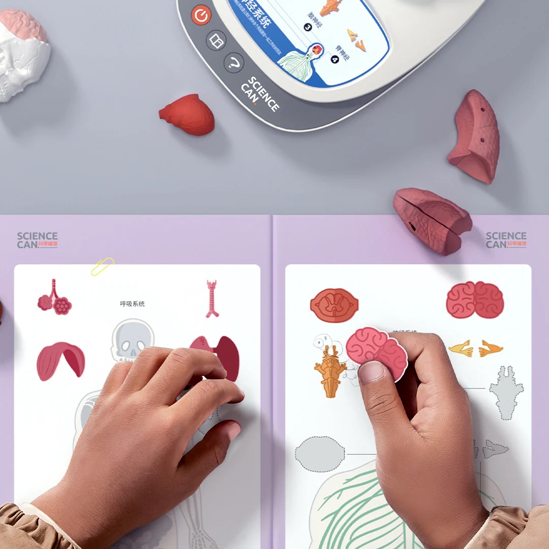 Topbright Science Can Der Körper bunt