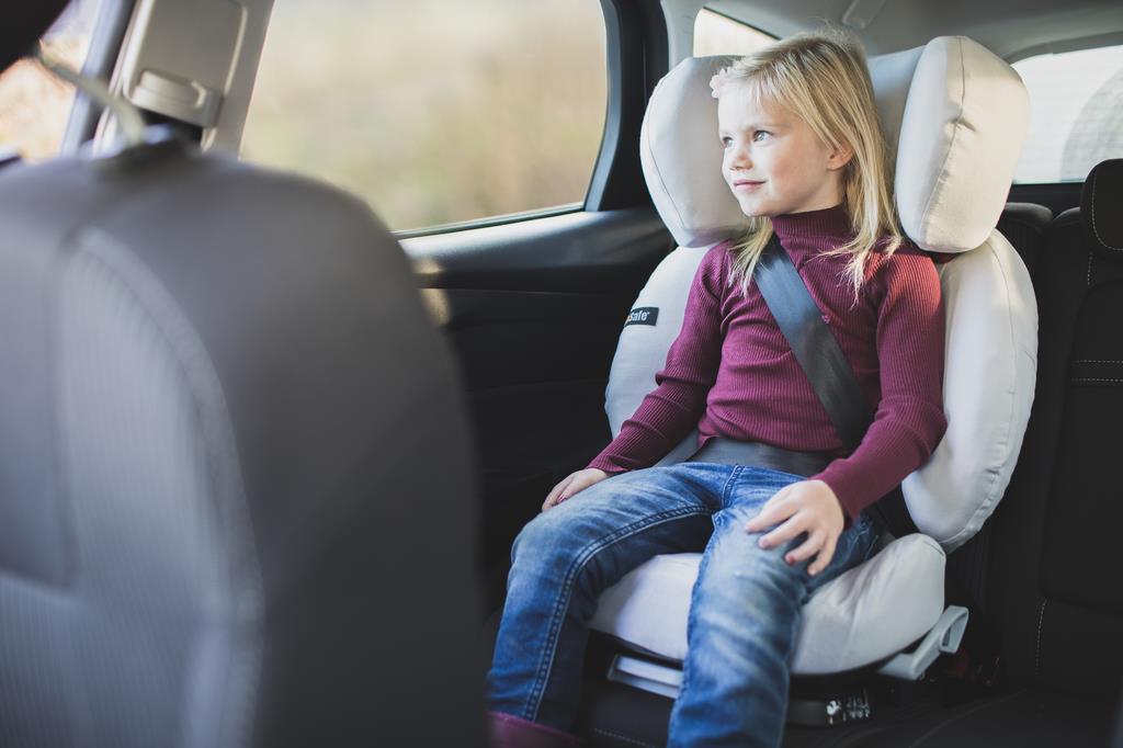 BeSafe Schonbezug 2.0 Flex Fix Glacier Grey BeSafe Schonbezug 2.0 Flex Fix Glacier Grey