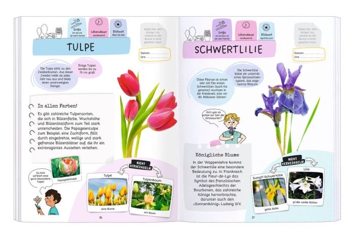 moses Expedition Natur - Rätseln, Stickern, Bestimmen Blumen moses Expedition Natur - Rätseln, Stickern, Bestimmen Blumen
