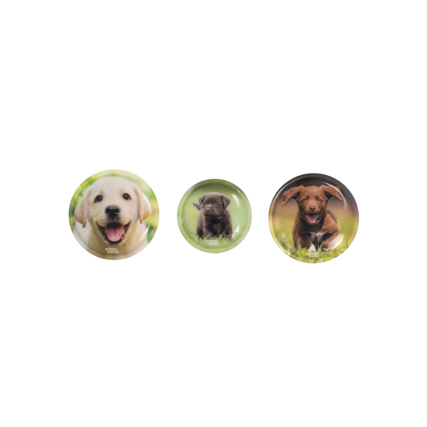 School Mood 3. Tlg. Patchys Sets Leni (Hund) School Mood 3. Tlg. Patchys Sets Leni (Hund)