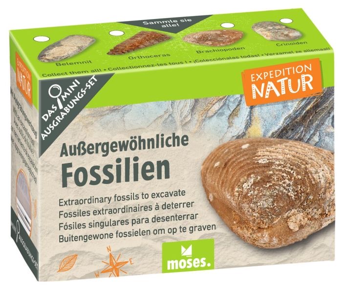 moses Expedition Natur Mini-Ausgrabungsset Fossilien