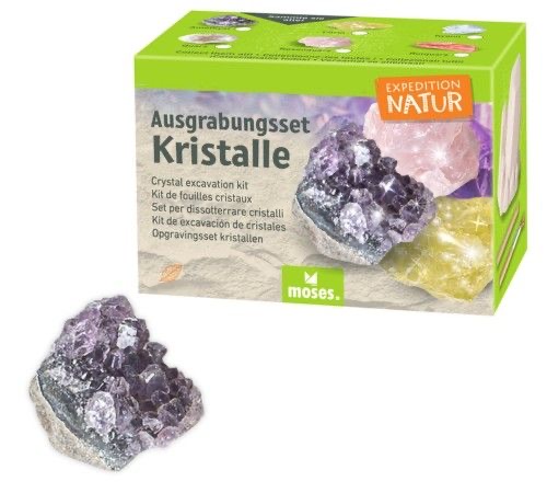 moses Expedition Natur Ausgrabungsset Kristall Amethyst
