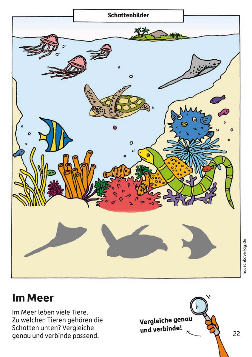 Hauschkaverlag Kindergartenblockab 3 Jahre Meine ersten Rätsel und Denkspiele