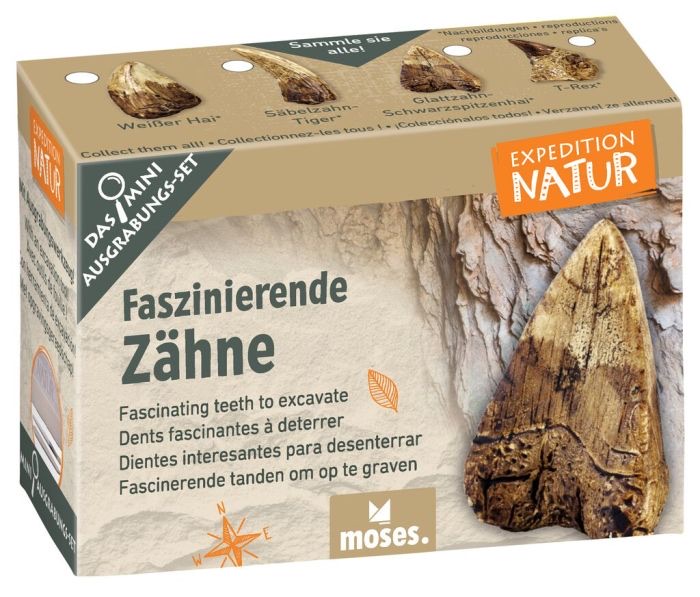 moses Expedition Natur Mini-Ausgrabungsset Faszinierende Zähne