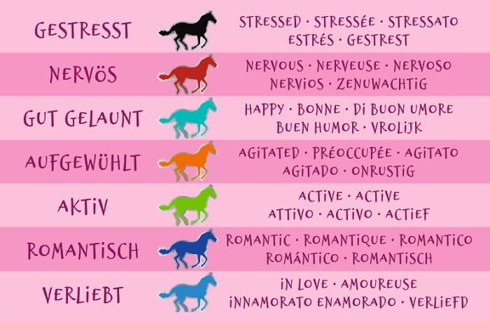 moses Pferde Stimmungsarmband Türkis