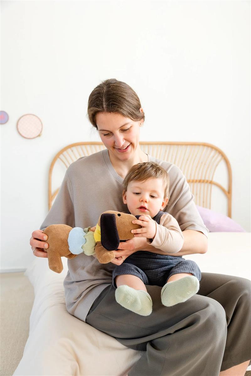 Lässig Aufzieh-Spieluhr Hund