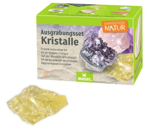moses Expedition Natur Ausgrabungsset Kristall Citrin