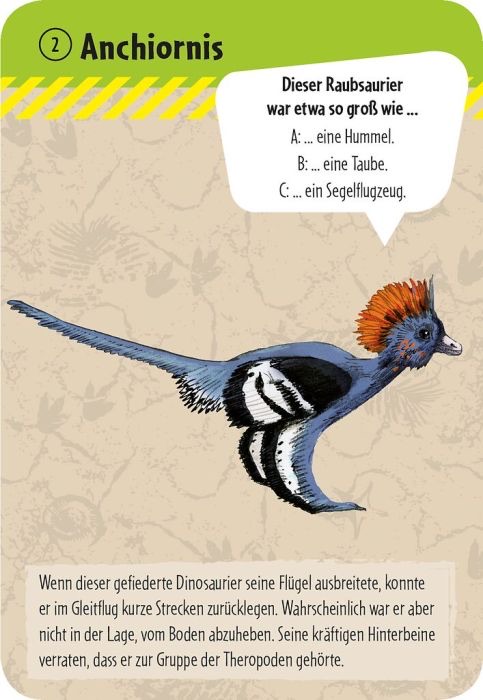 moses 50 Dinosaurier - erkennen & staunen Kartenset