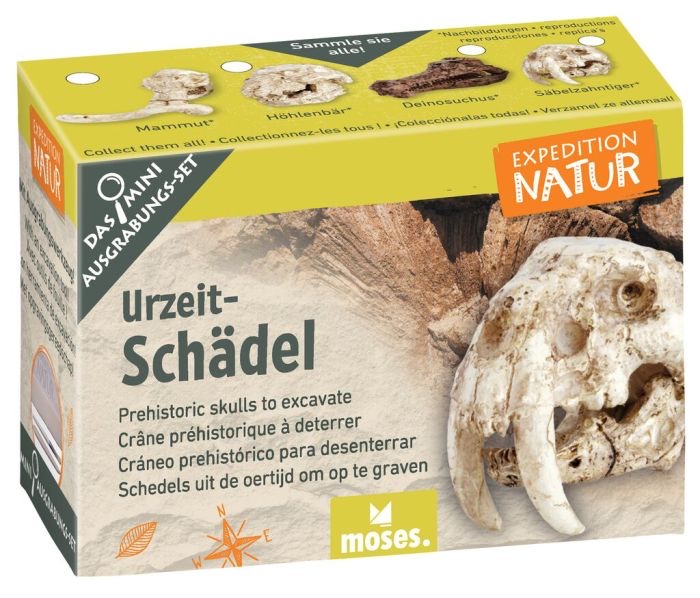 moses Expedition Natur Mini-Ausgrabungsset Urzeitschädel