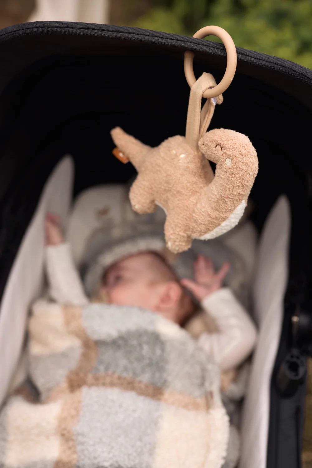 Jollein Kinderwagen-Anhänger Roarsome