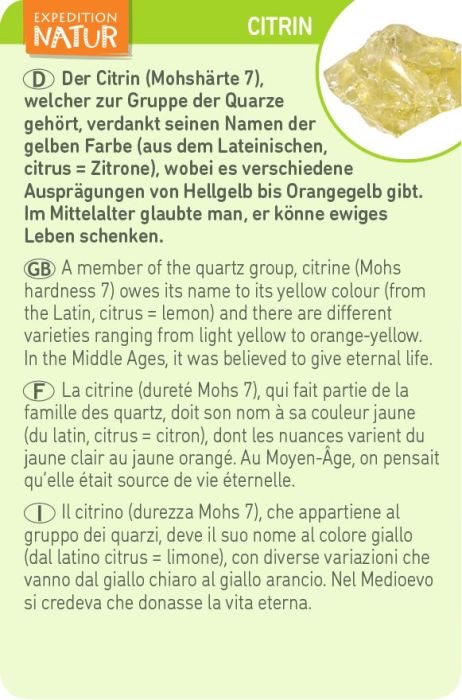 moses Expedition Natur Ausgrabungsset Kristall Citrin