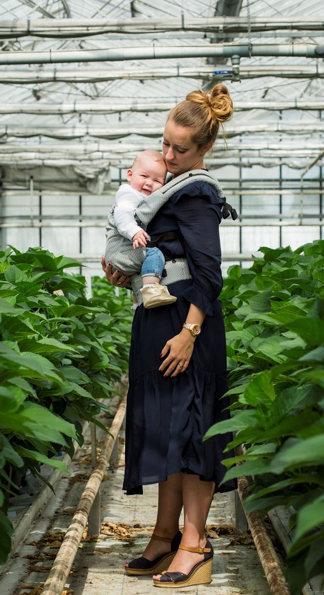 neko Switch Tragehilfe Babysize (50/56 - 80/86 cm) Grey Diamond